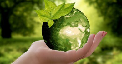 Na dobro - obchod věnovaný udržitelnosti